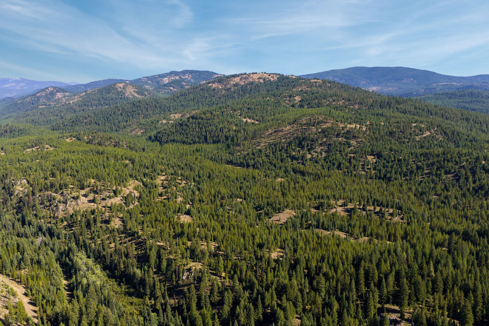 Nhn Whitney Lake Road Property Photo 16