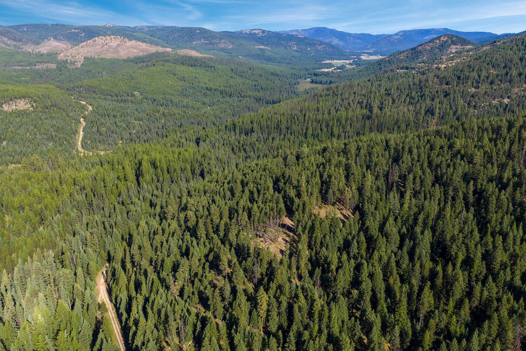 Nhn Whitney Lake Road Property Photo 20