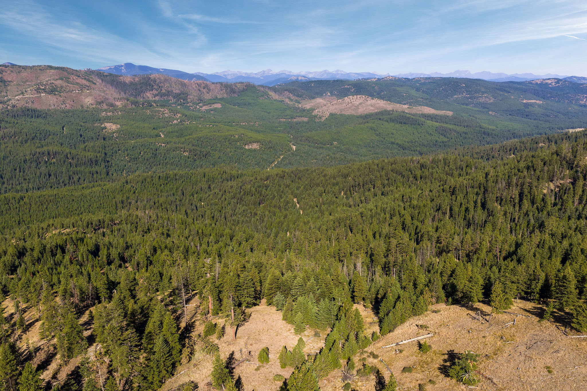 Nhn Whitney Lake Road Property Photo 23