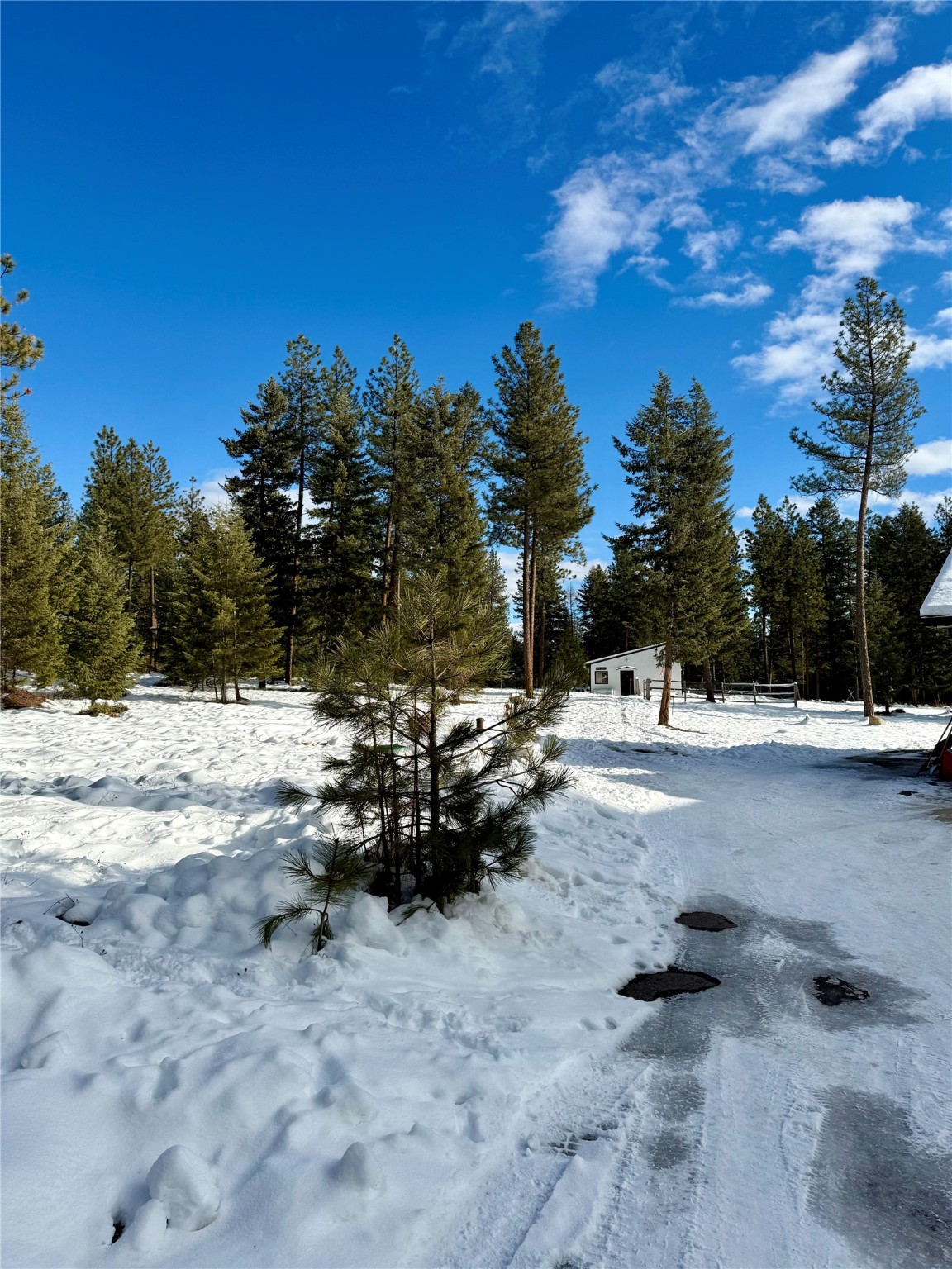 21140 Whitetail Ridge Road Property Photo 18