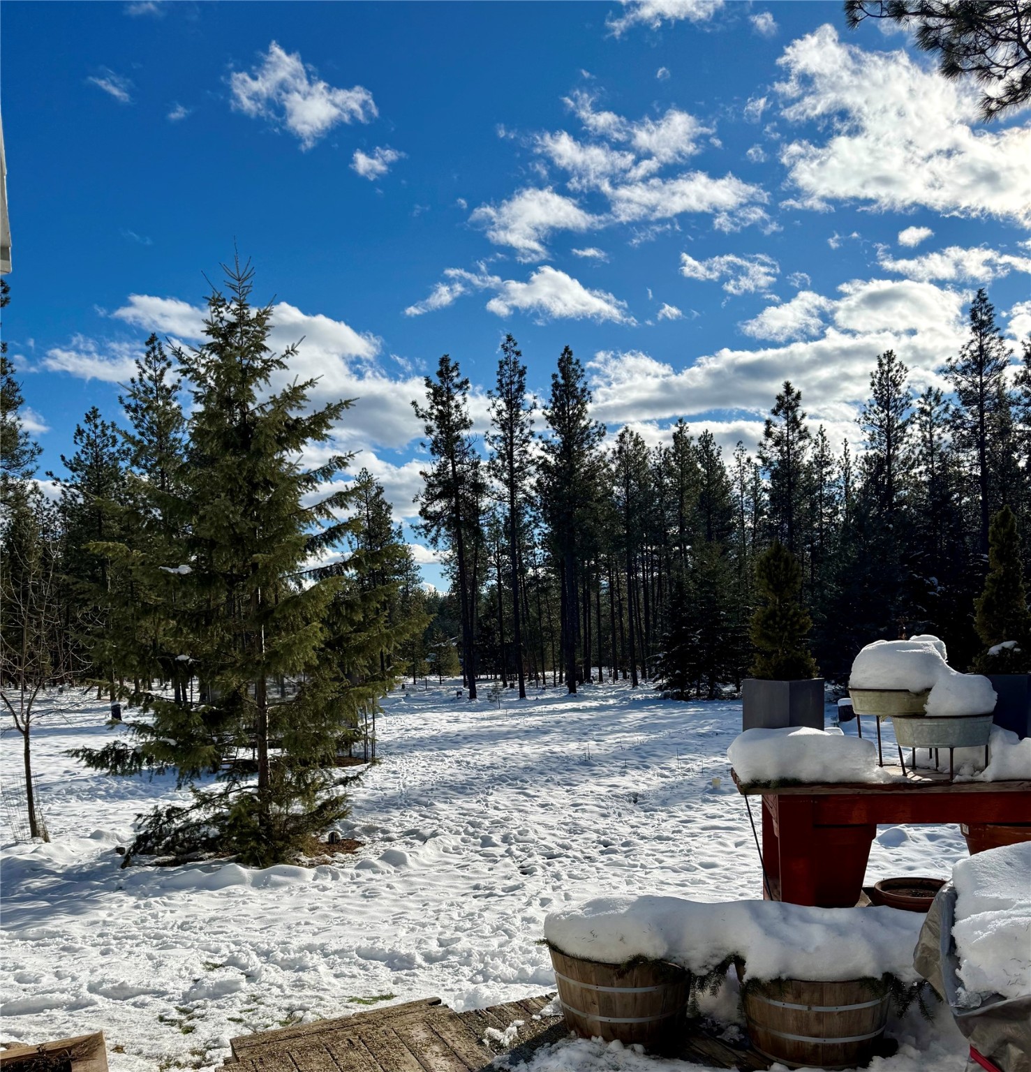 21140 Whitetail Ridge Road Property Photo 19