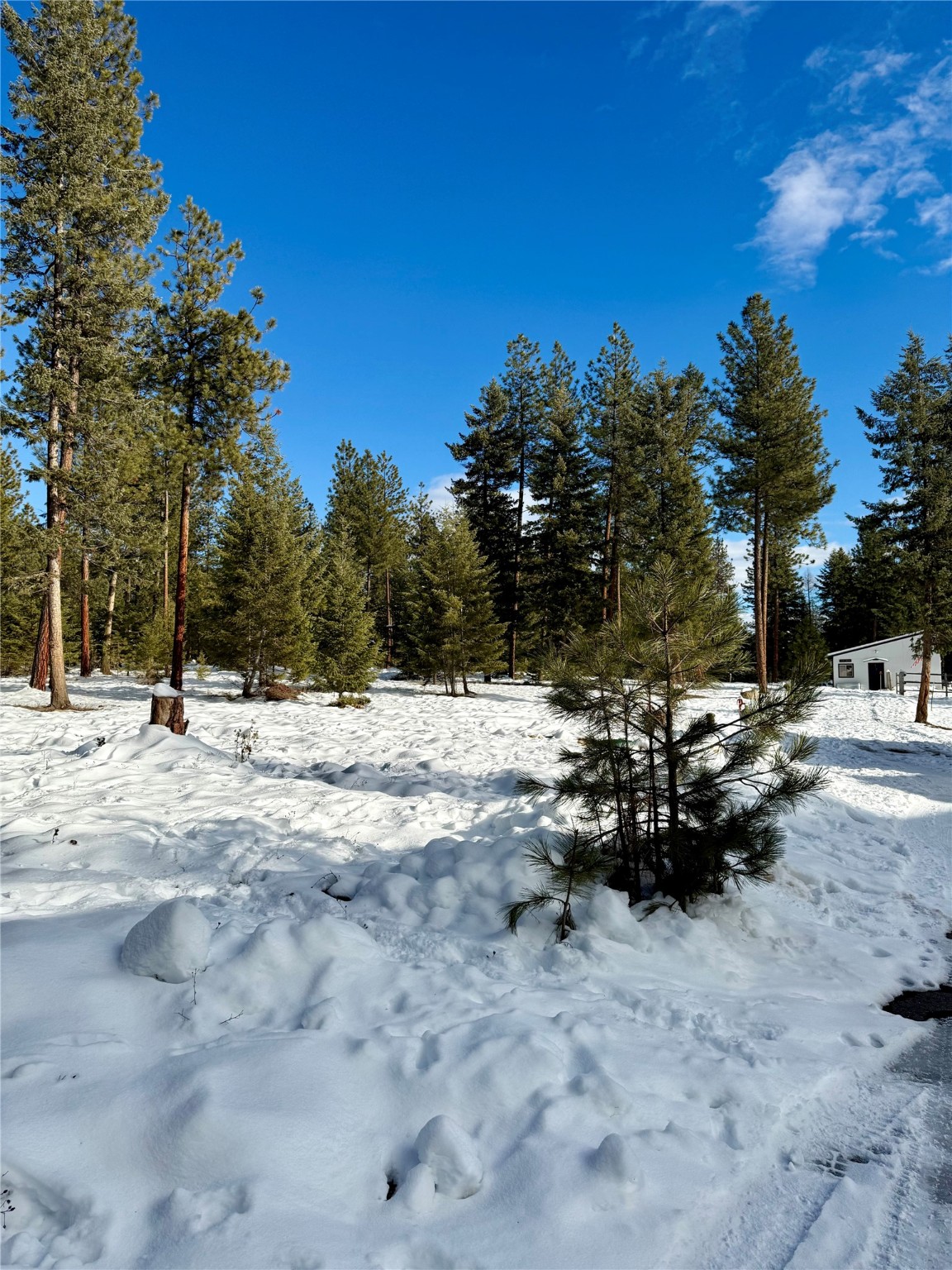 21140 Whitetail Ridge Road Property Photo 23
