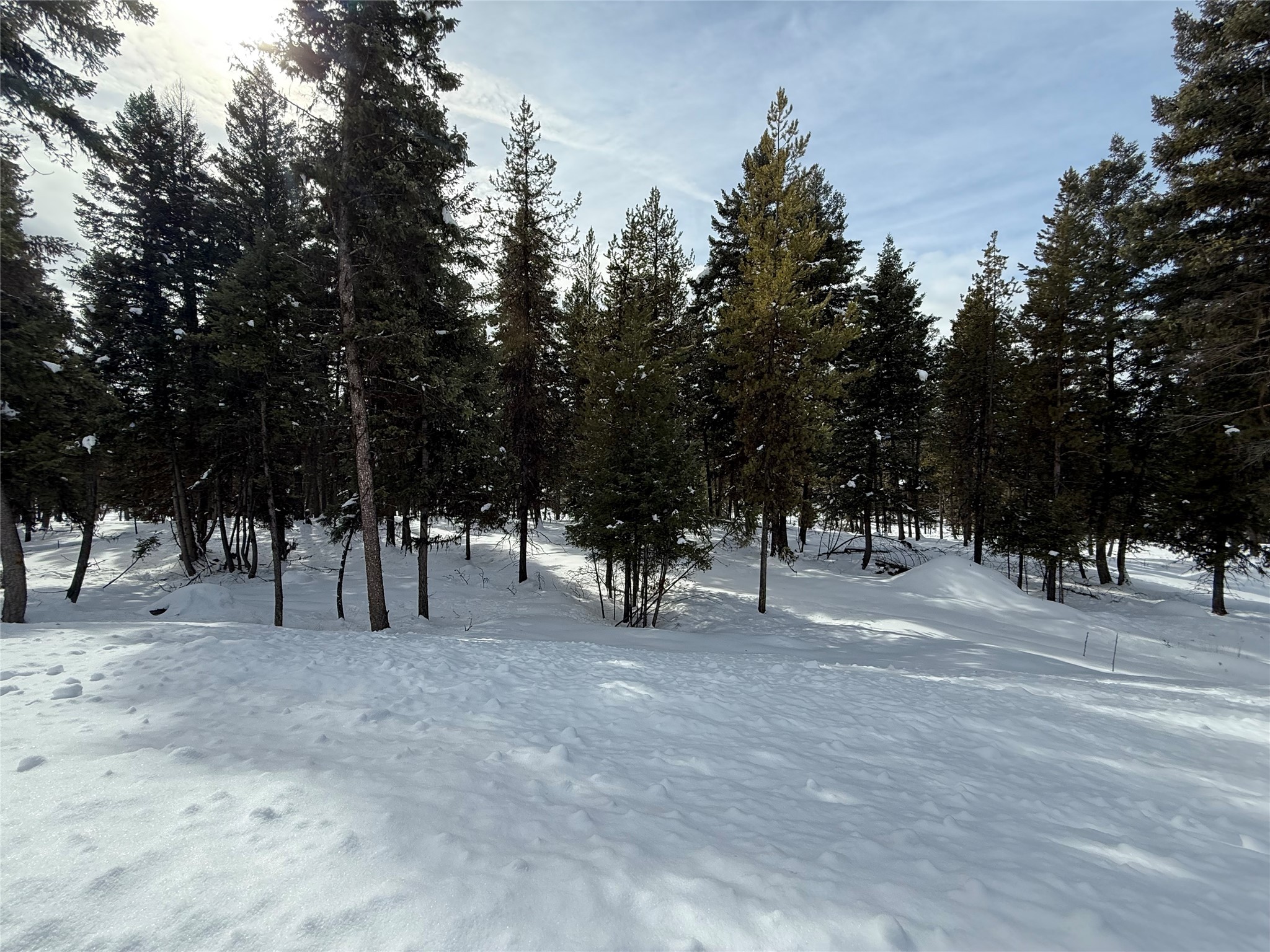 304 Seclusion Point Property Photo