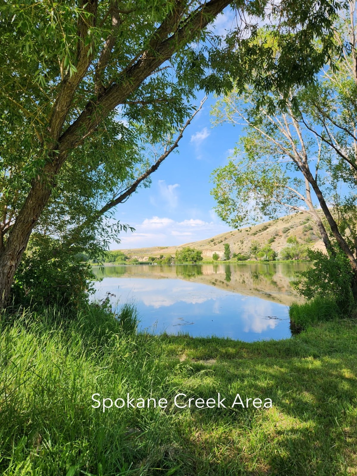 5502 Thimbleberry Loop Property Photo 4