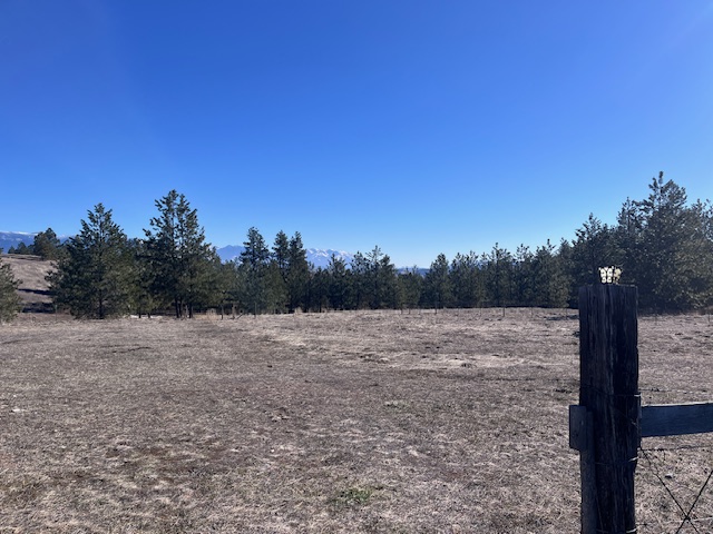 116 Happy Hollow Property Photo 16