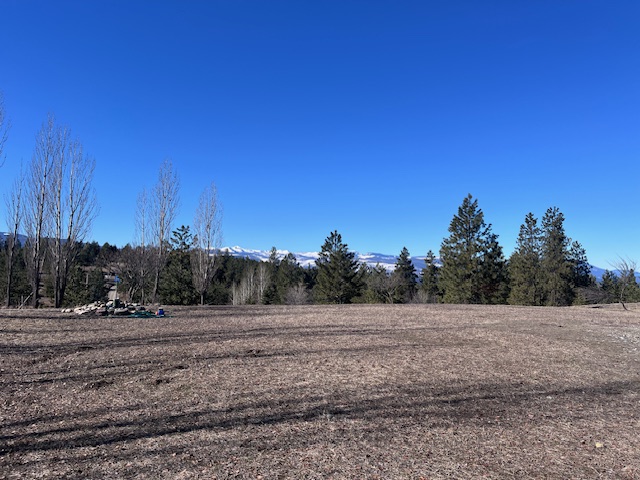 116 Happy Hollow Property Photo 18