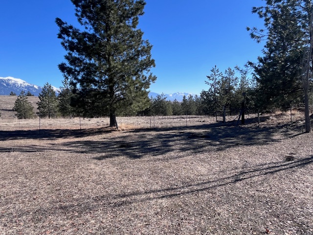 116 Happy Hollow Property Photo 20
