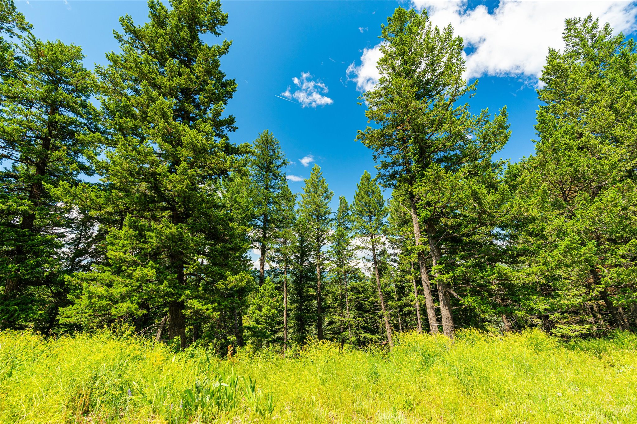 7386 Us Highway 2 E Property Photo 7