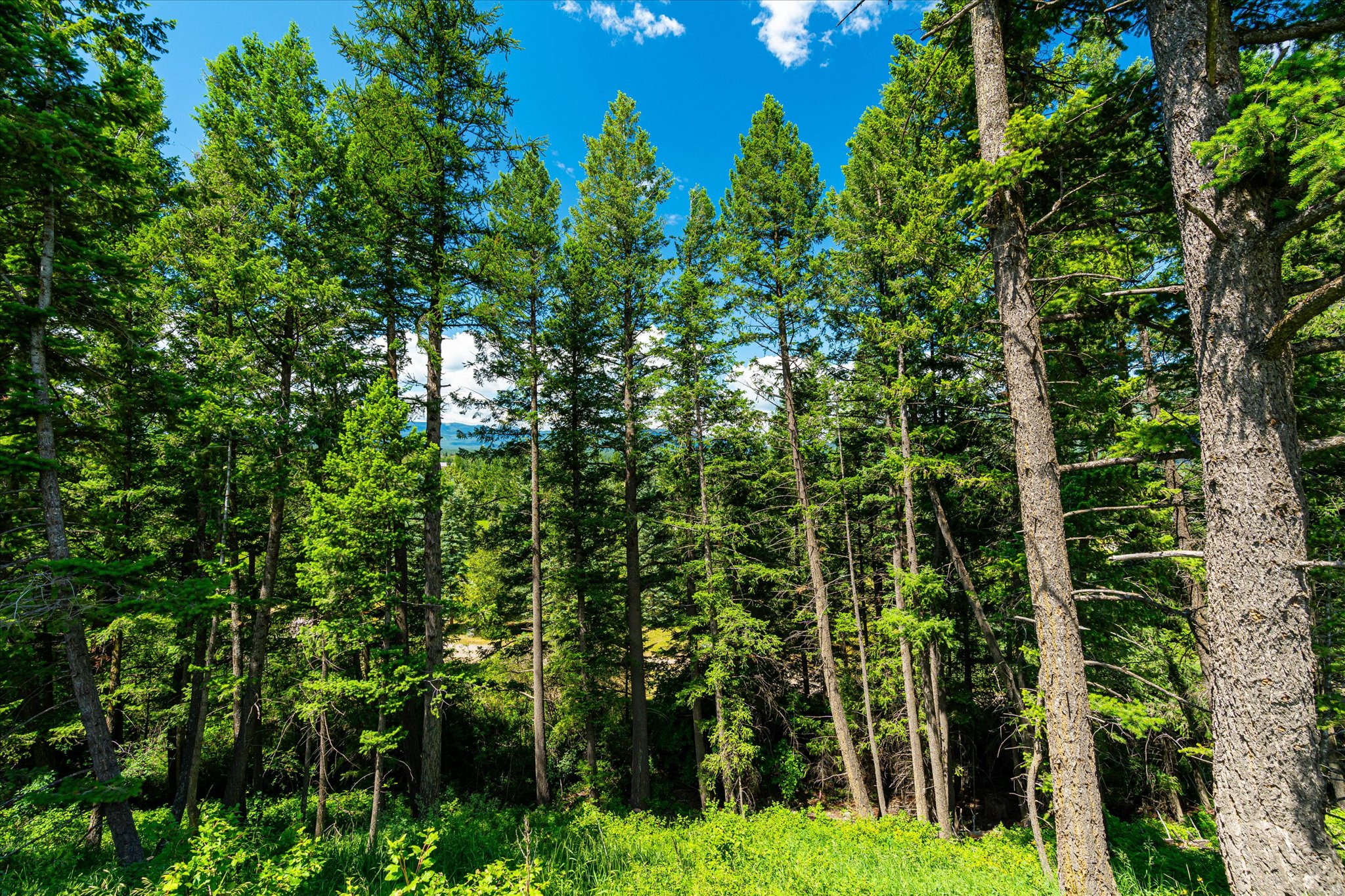 7386 Us Highway 2 E Property Photo 8