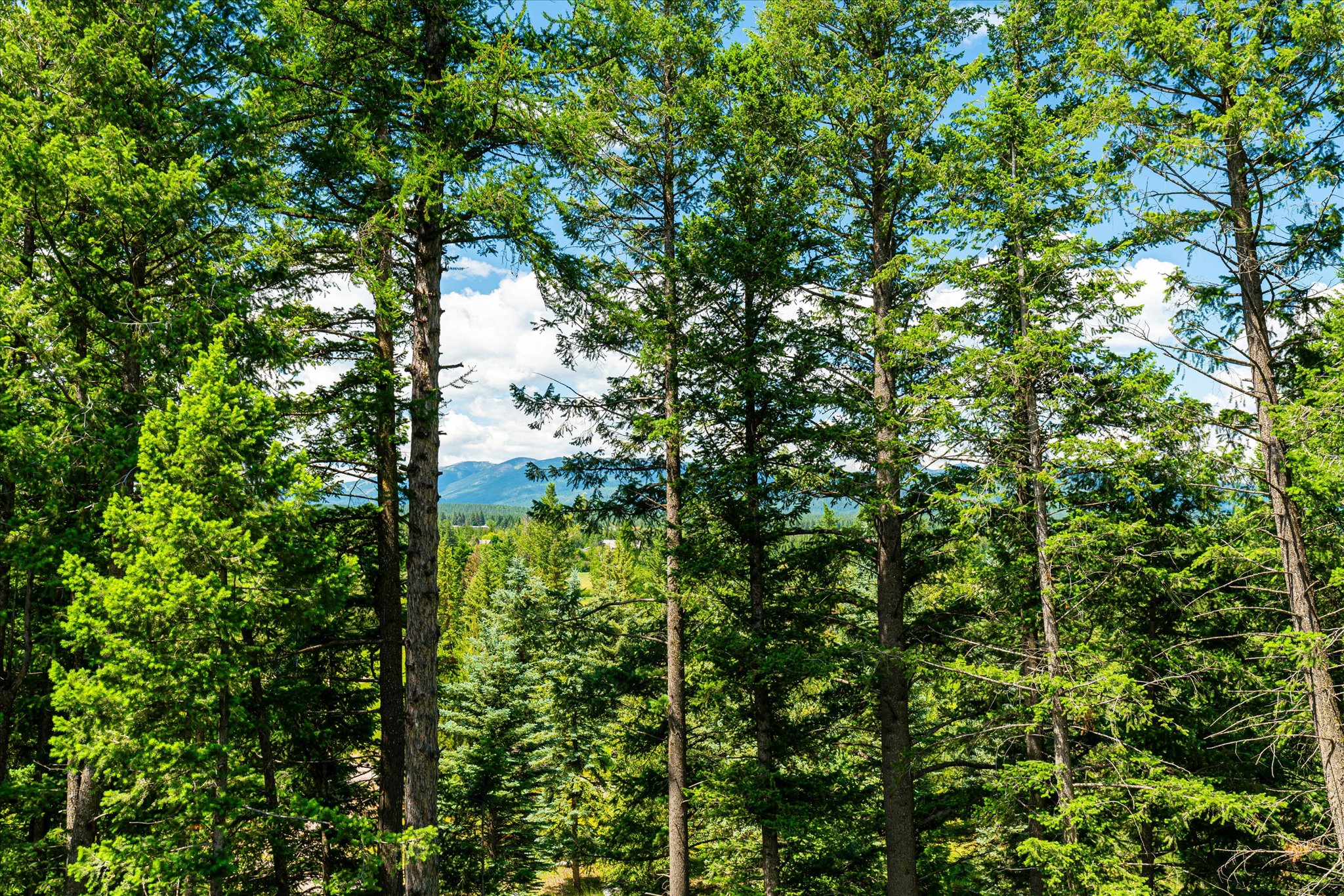 7386 Us Highway 2 E Property Photo 9