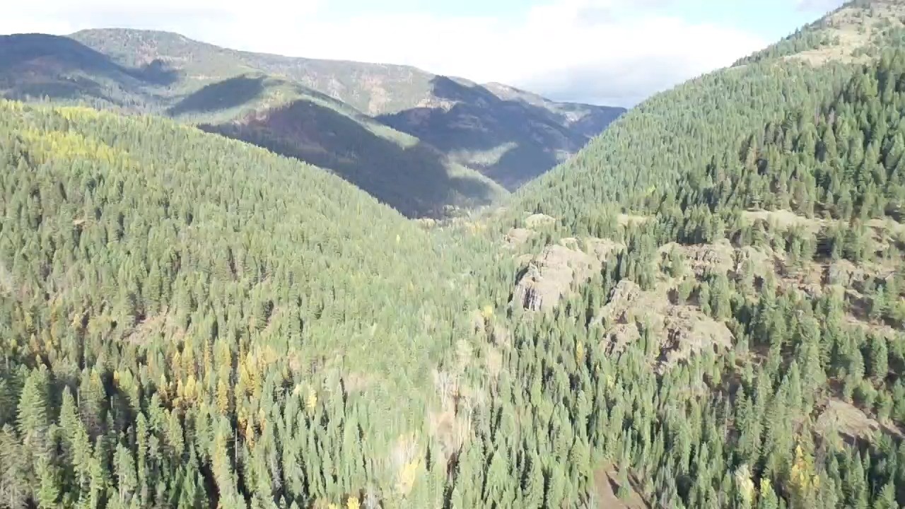 Nhn Pilgrim Creek Road Property Photo