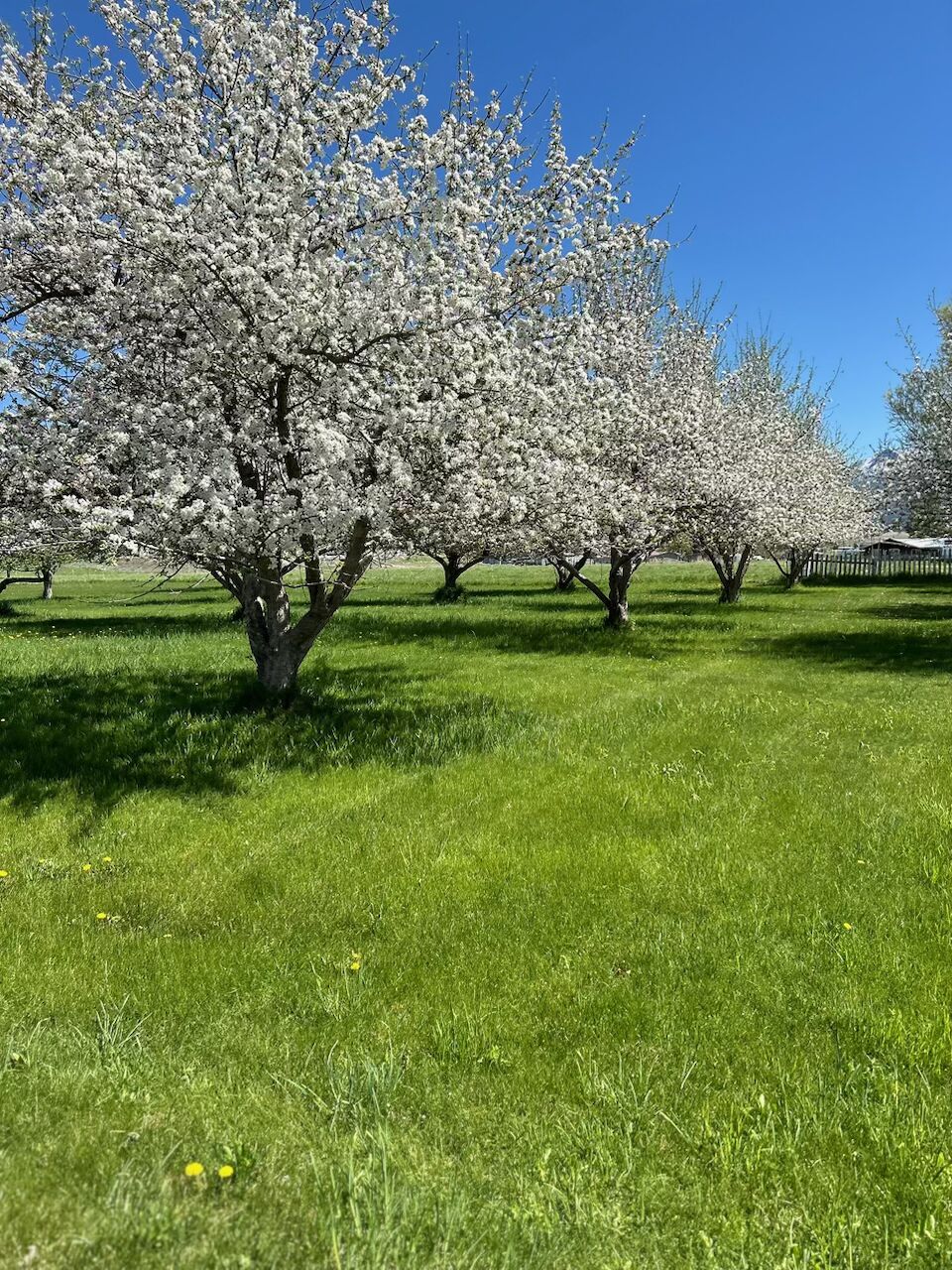 65637 Mt Highway 37 Property Photo 5