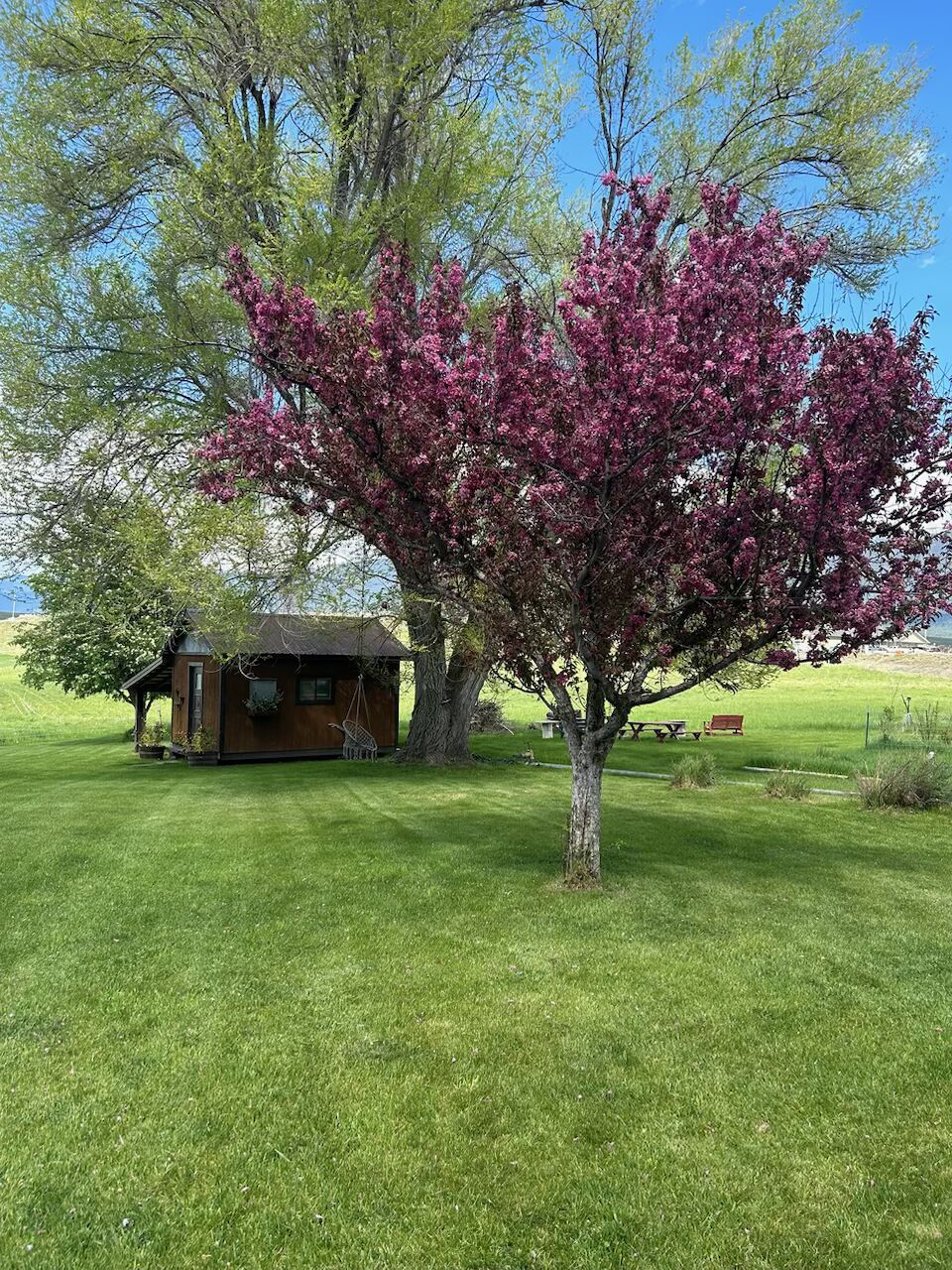 65637 Mt Highway 37 Property Photo 6