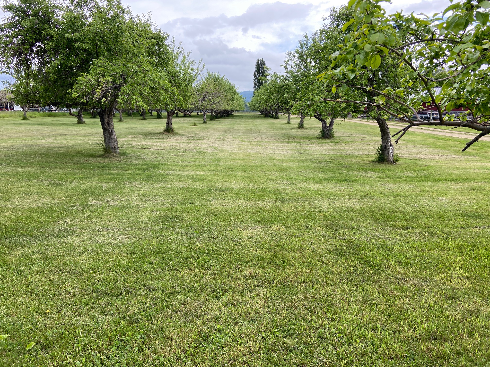 65637 Mt Highway 37 Property Photo 42