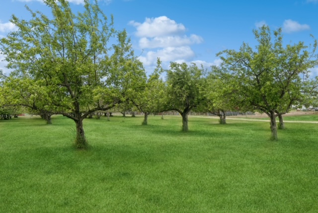 65637 Mt Highway 37 Property Photo 43