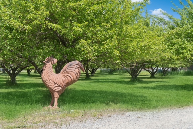 65637 Mt Highway 37 Property Photo 48