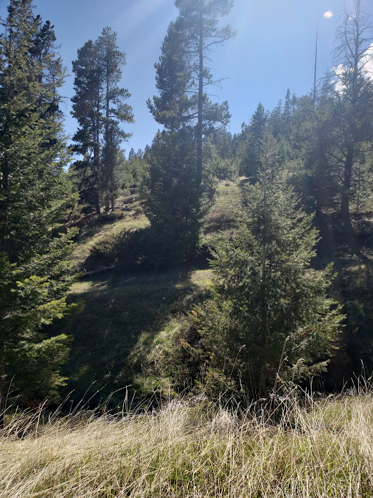 Sec 21 T08n R08e Spencer Spencer Property Photo 3