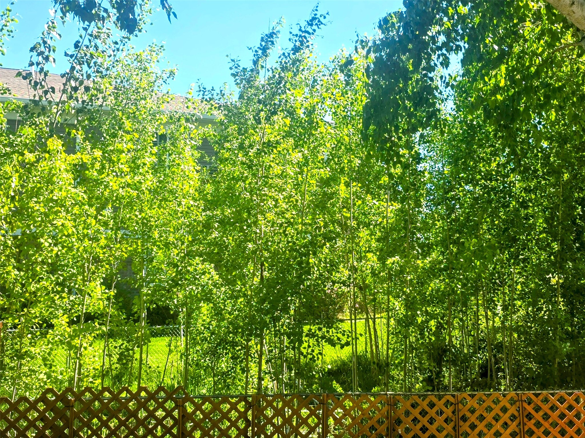 312 Ponderosa Street Property Photo 23