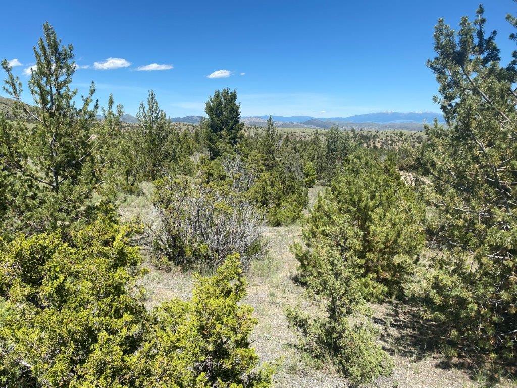 18 Keating Gulch Road