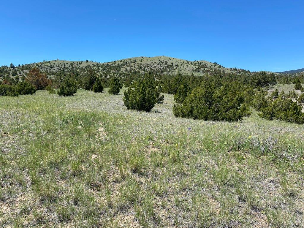 18 Keating Gulch Road Property Photo 4