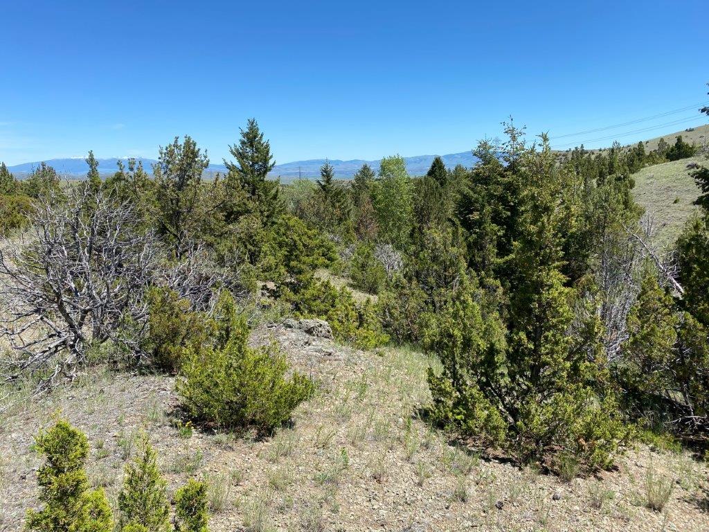 18 Keating Gulch Road Property Photo 6