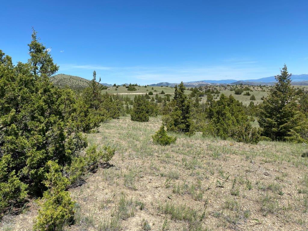 18 Keating Gulch Road Property Photo 12