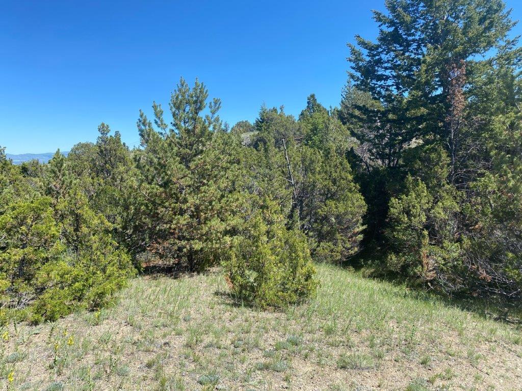 18 Keating Gulch Road Property Photo 16