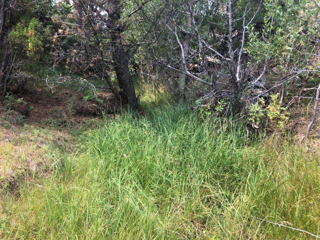 18 Keating Gulch Road Property Photo 20