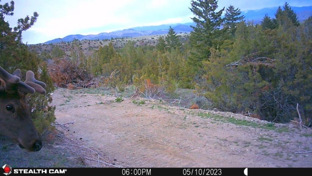 18 Keating Gulch Road Property Photo 21