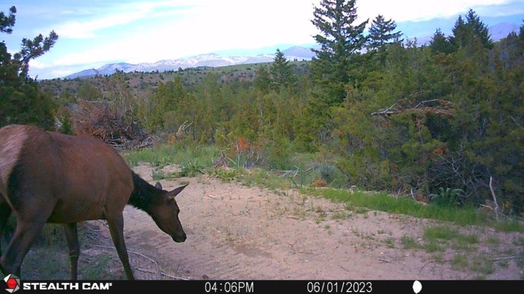 18 Keating Gulch Road Property Photo 22