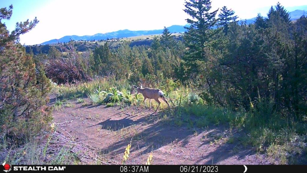 18 Keating Gulch Road Property Photo 24