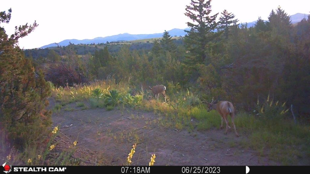 18 Keating Gulch Road Property Photo 26
