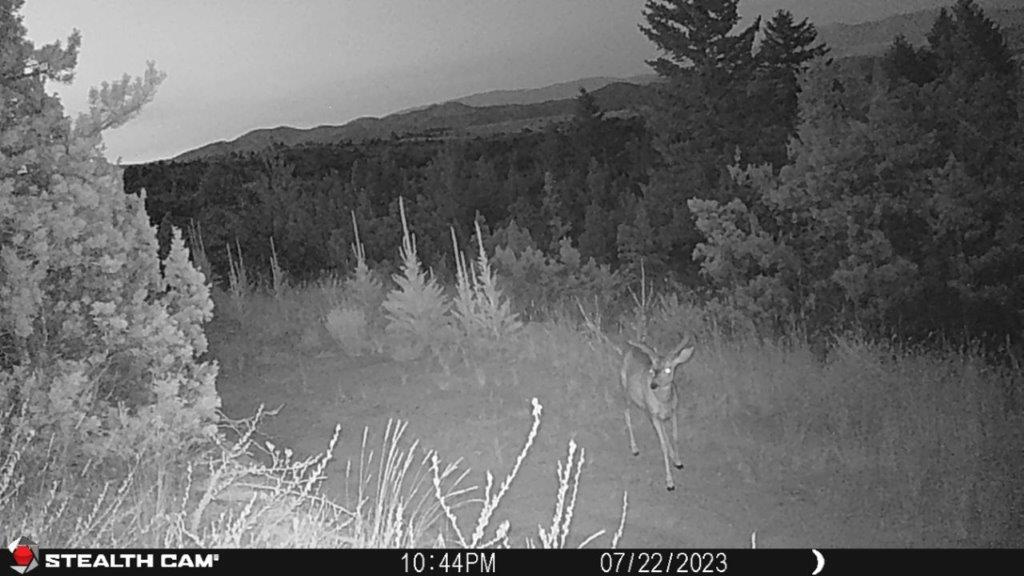 18 Keating Gulch Road Property Photo 27