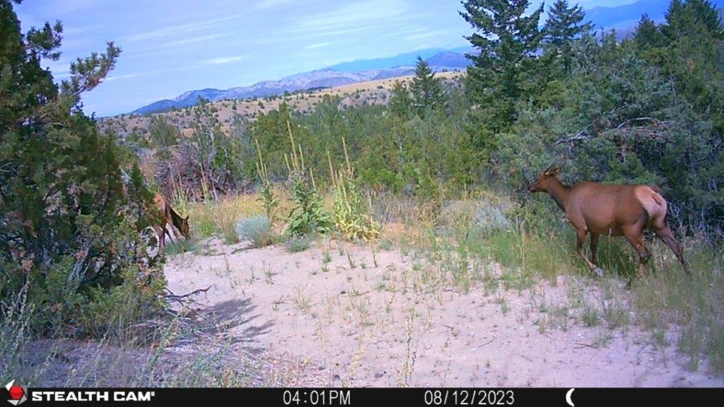 18 Keating Gulch Road Property Photo 28