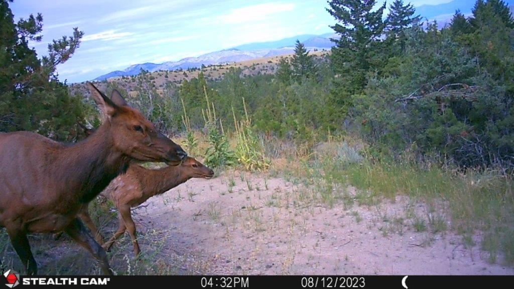 18 Keating Gulch Road Property Photo 29