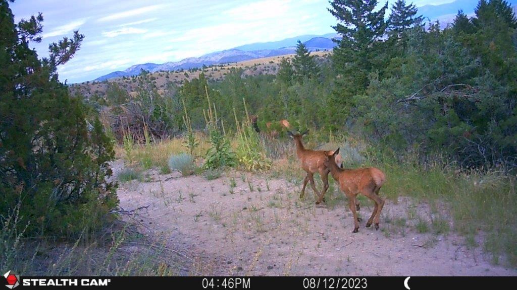 18 Keating Gulch Road Property Photo 30