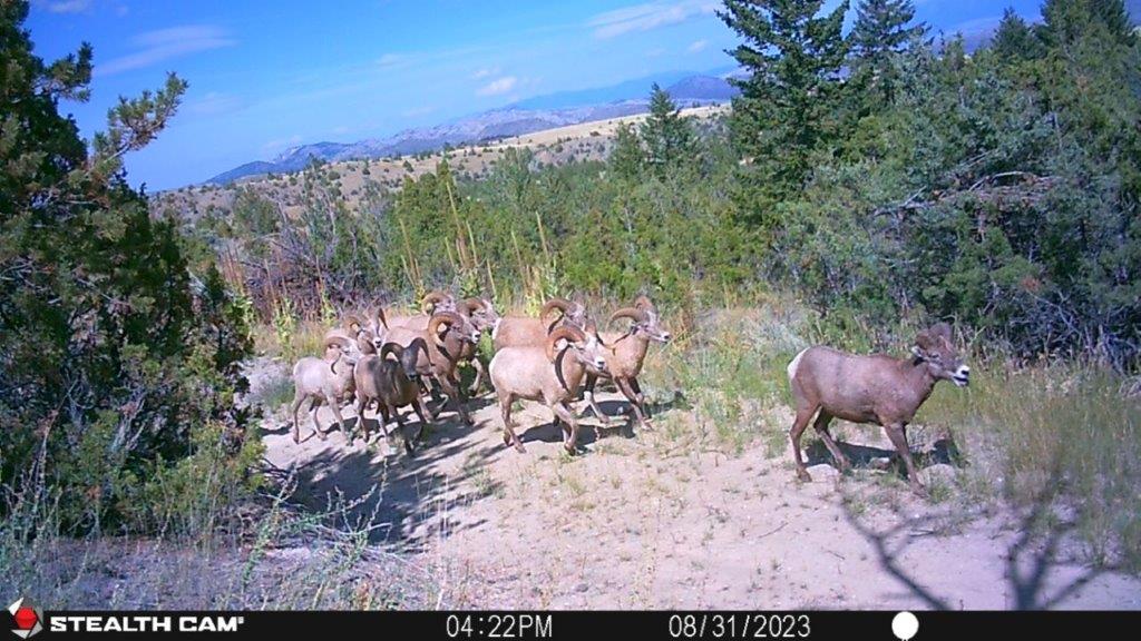 18 Keating Gulch Road Property Photo 31