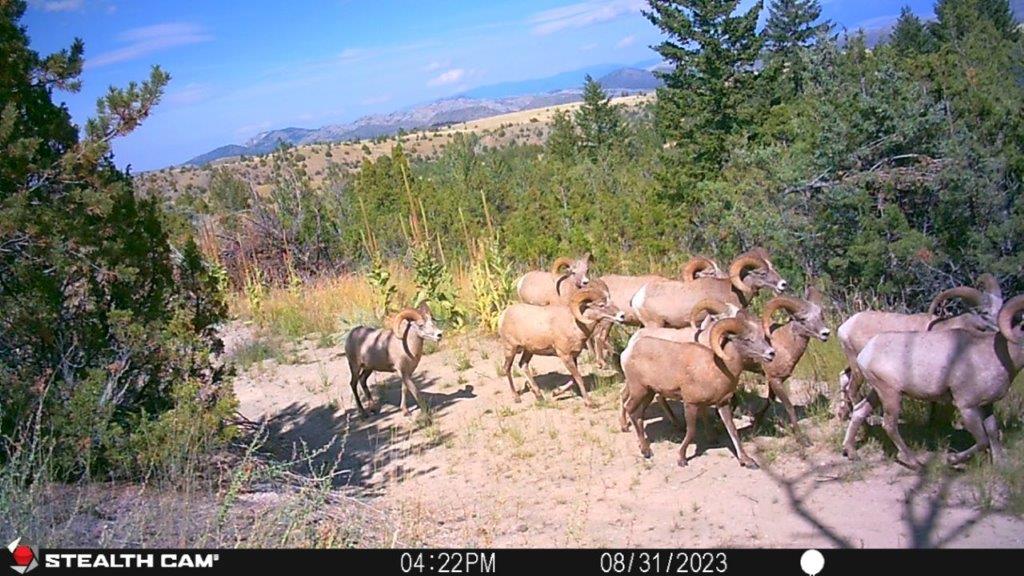 18 Keating Gulch Road Property Photo 32