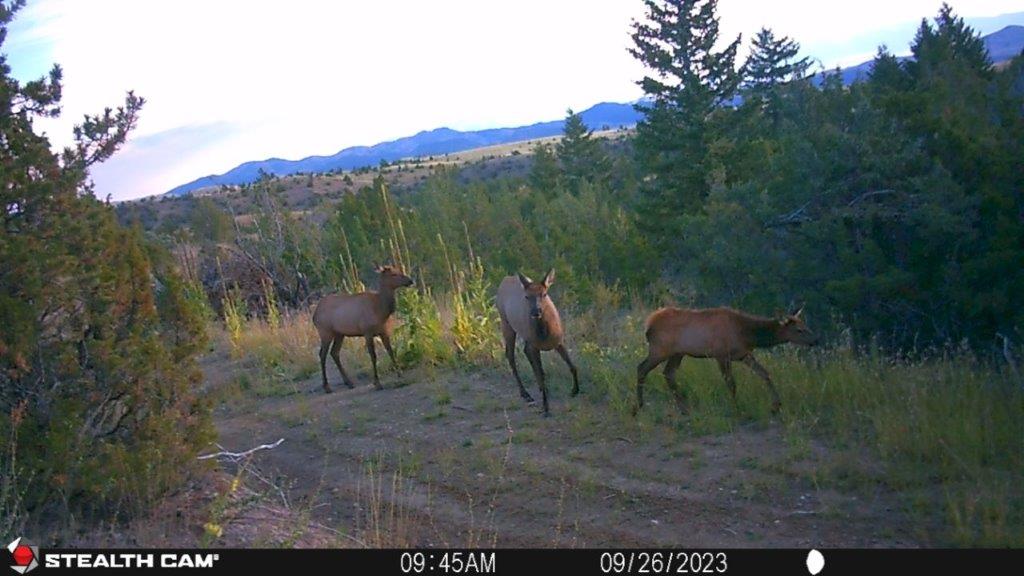 18 Keating Gulch Road Property Photo 34