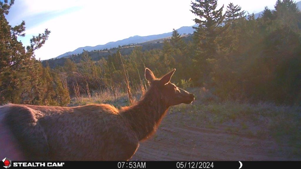 18 Keating Gulch Road Property Photo 36