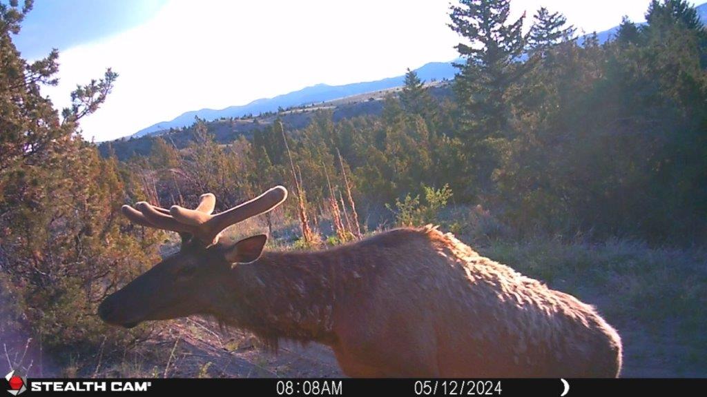 18 Keating Gulch Road Property Photo 37