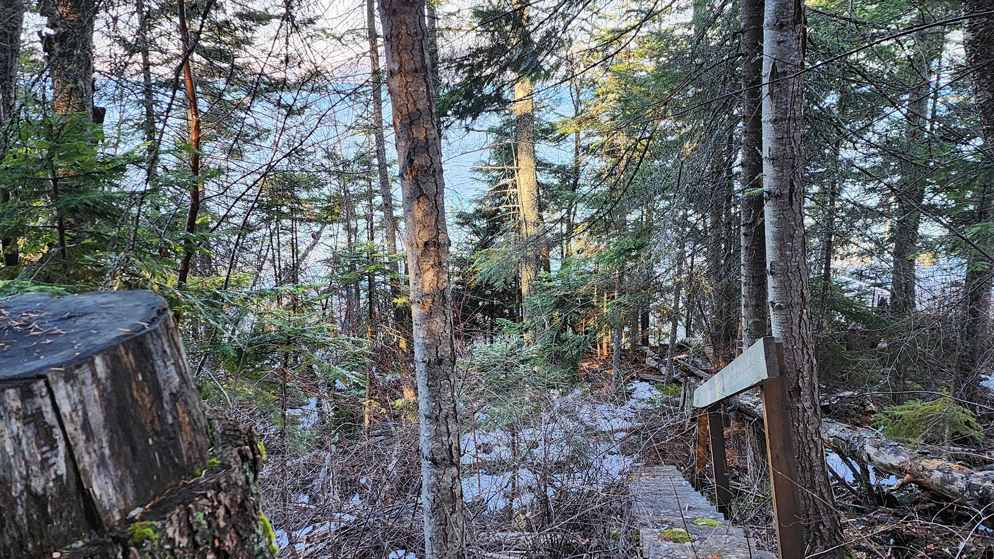 24699 Mt Highway 35 Property Photo 4