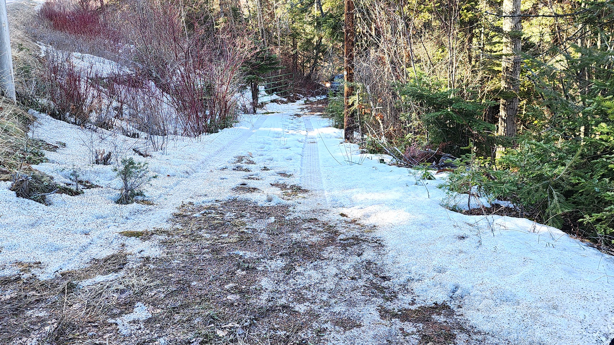 24699 Mt Highway 35 Property Photo 11
