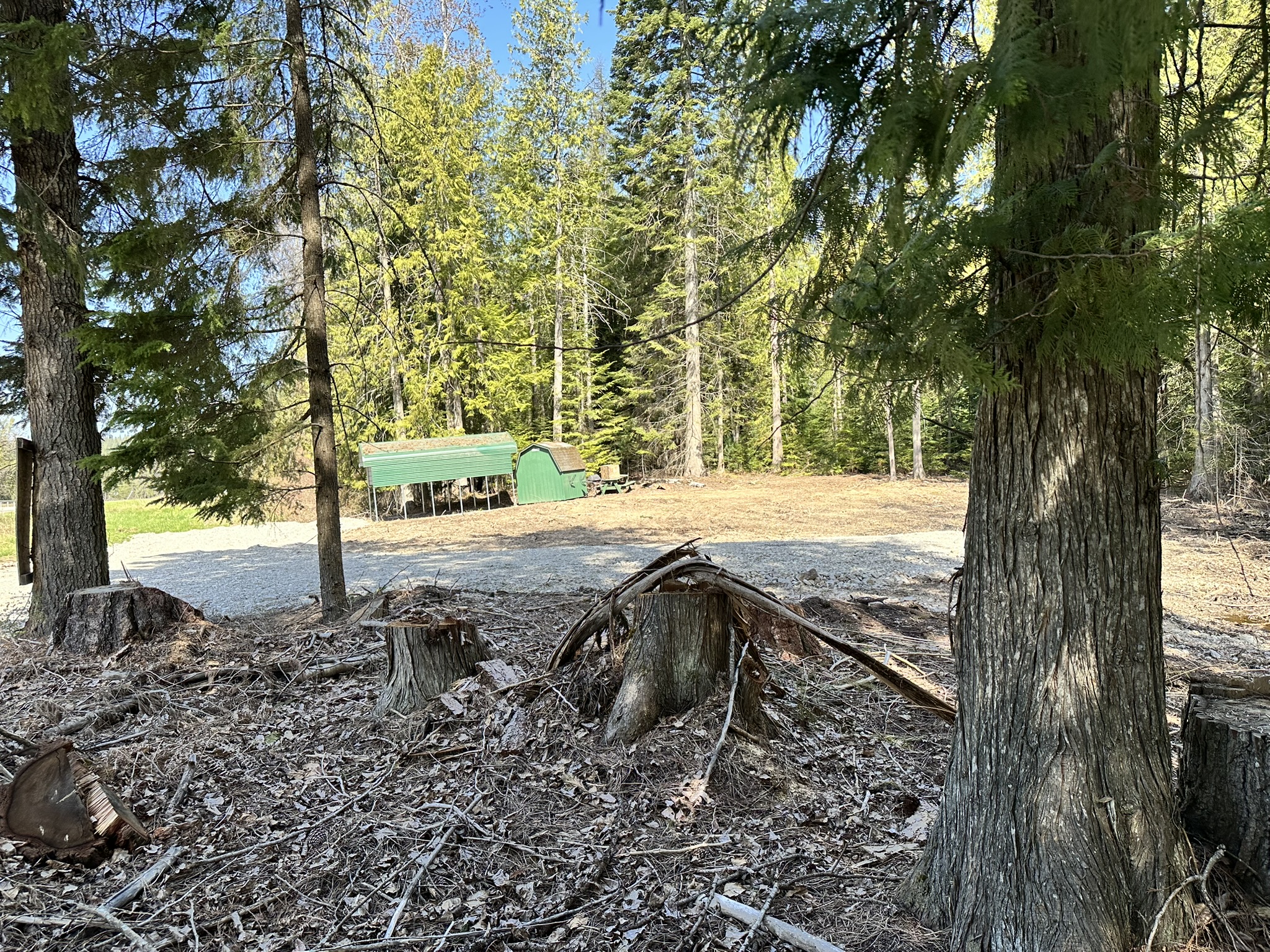 1127 Mt Hwy 200 Property Photo 13