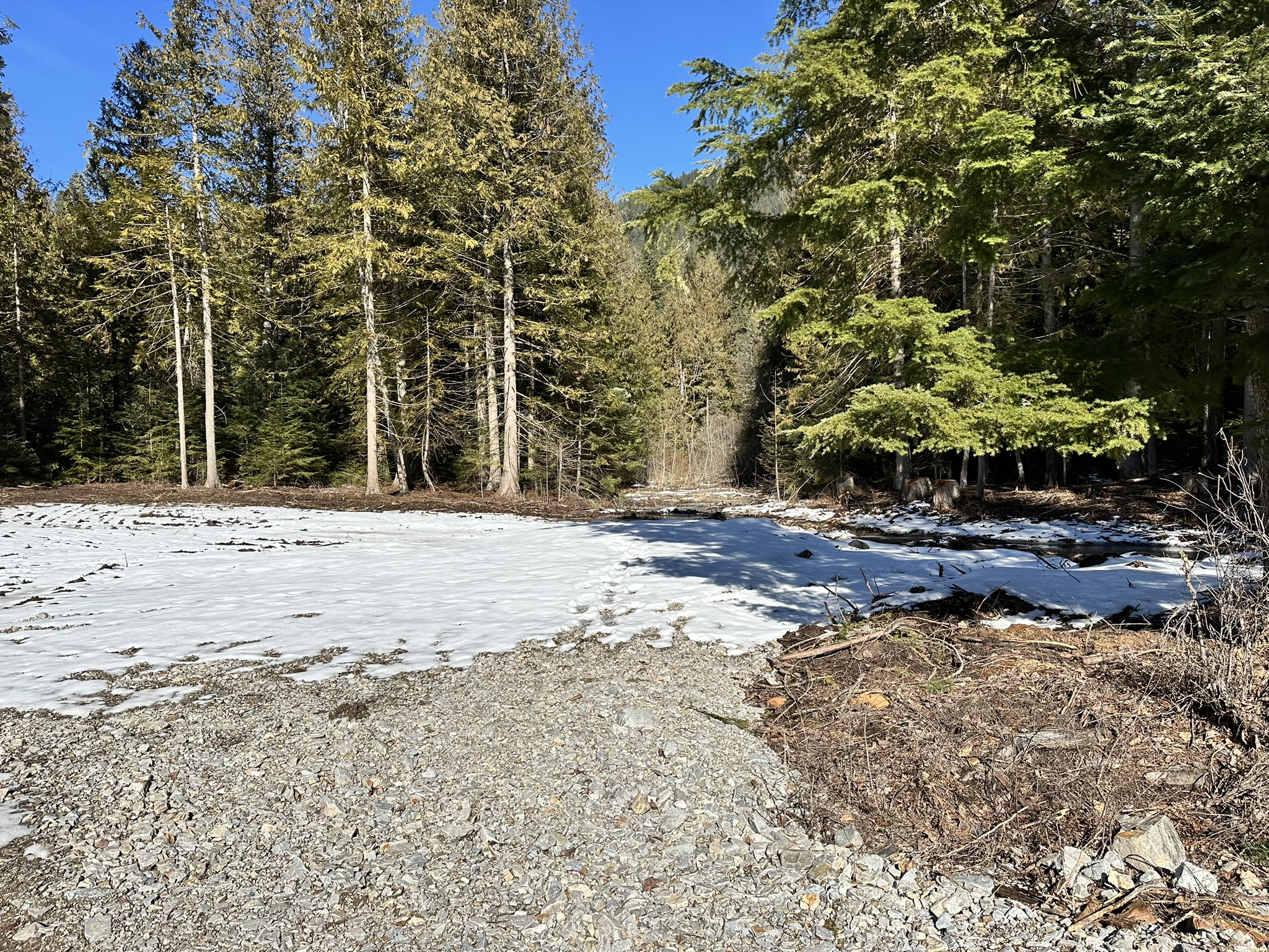 1127 Mt Hwy 200 Property Photo 16