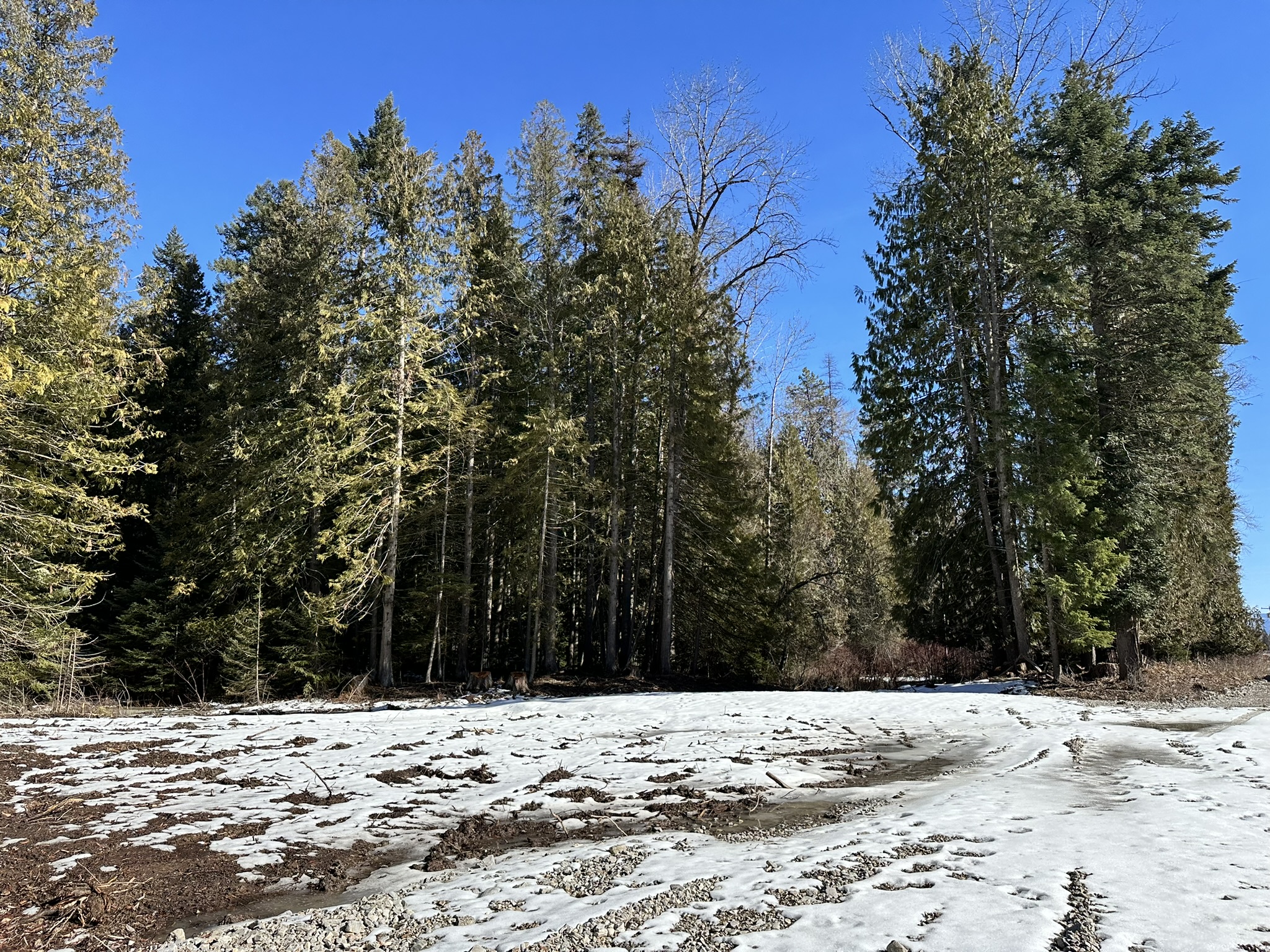 1127 Mt Hwy 200 Property Photo 19