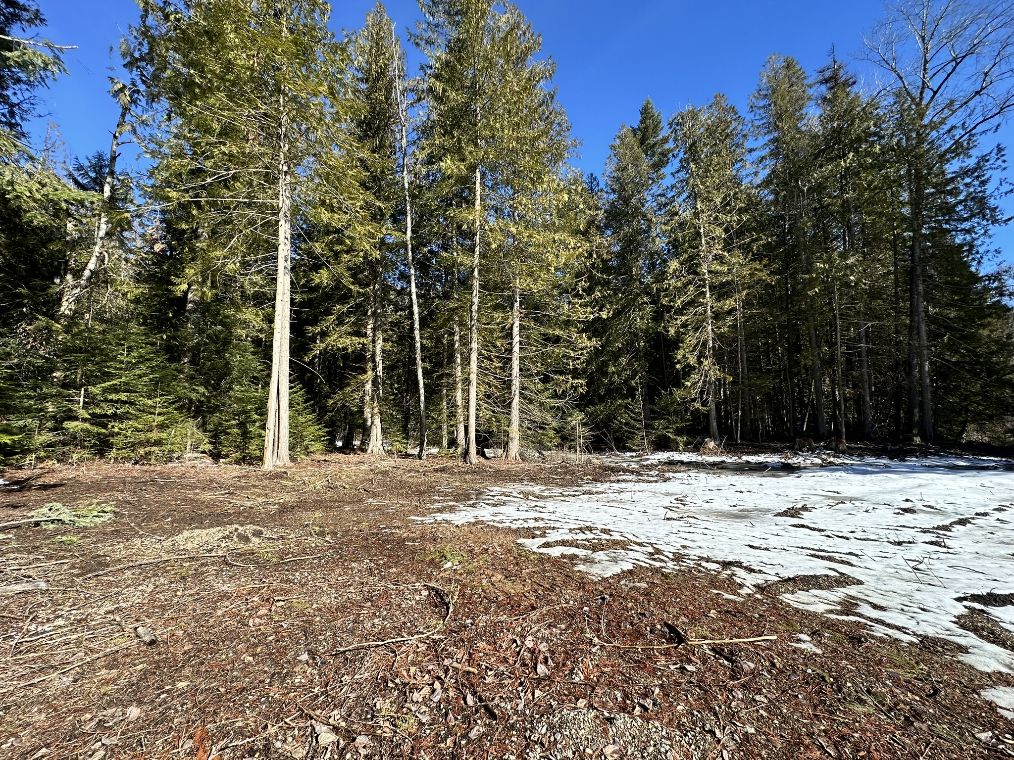 1127 Mt Hwy 200 Property Photo 23