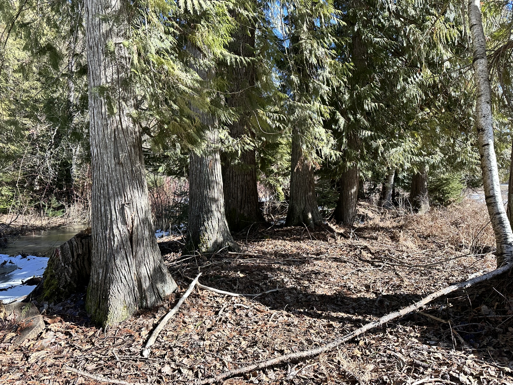 1127 Mt Hwy 200 Property Photo 35