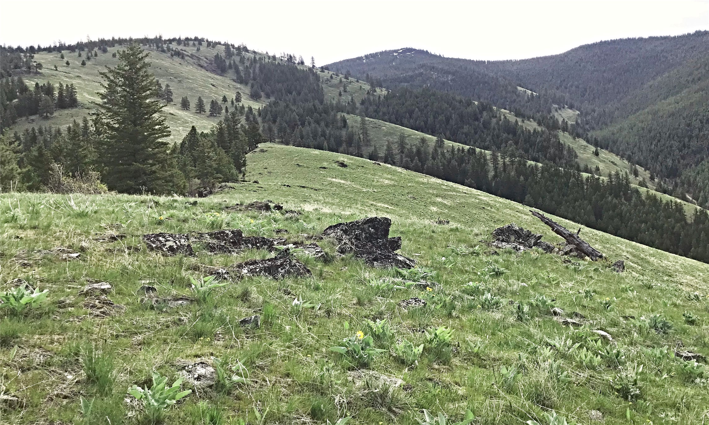 Nhn Mclaughlin Creek Road Property Photo