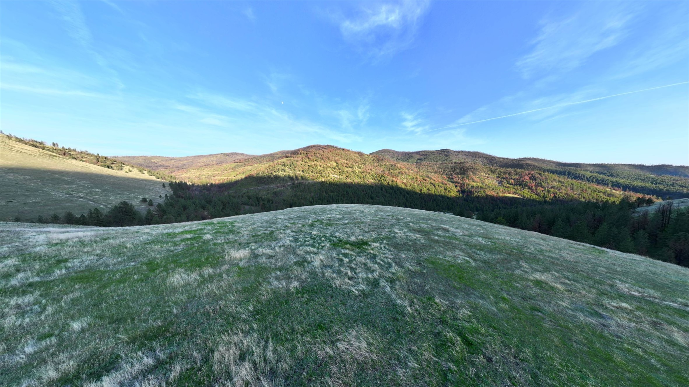 Nhn Mclaughlin Creek Road Property Photo 1